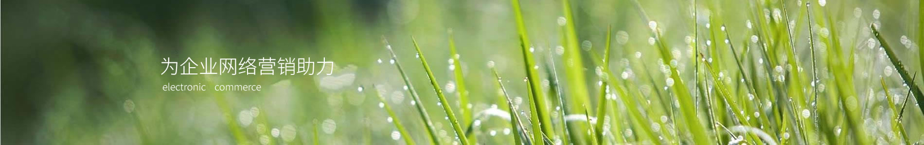ǱƼ޹˾